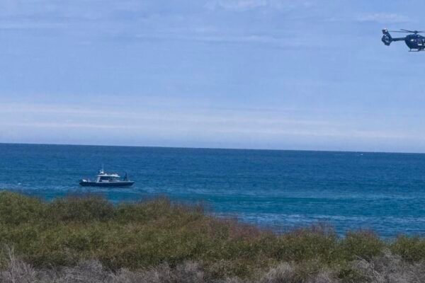 Tragedy at Sorrento: Fatal Shark Attack Sparks Immediate Beach Closure