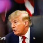 Trump Targets Kremlin’s Lifeblood with Aggressive New Energy Sanctions