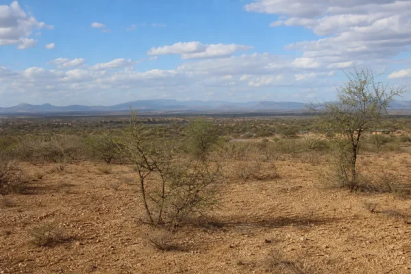Turning the Tide: Kenyan Author’s Green Blueprint to Halt the March of the Desert