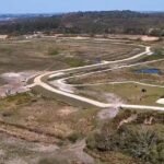 Uncharted Green: Agency Launches Urgent Cleanup as Invasive Floating Mats Choke Poole Harbour