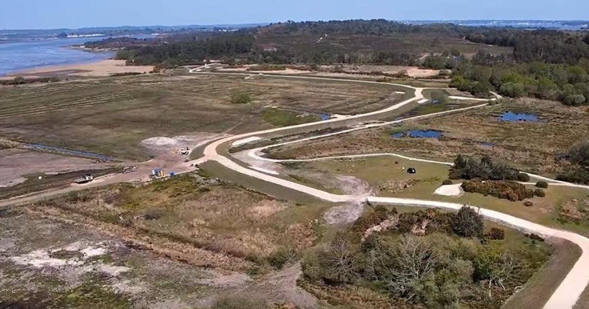 Uncharted Green: Agency Launches Urgent Cleanup as Invasive Floating Mats Choke Poole Harbour
