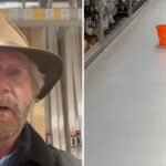 ‘Breaking news!’ Noel Edmonds spots leaky roof during B&Q shopping trip