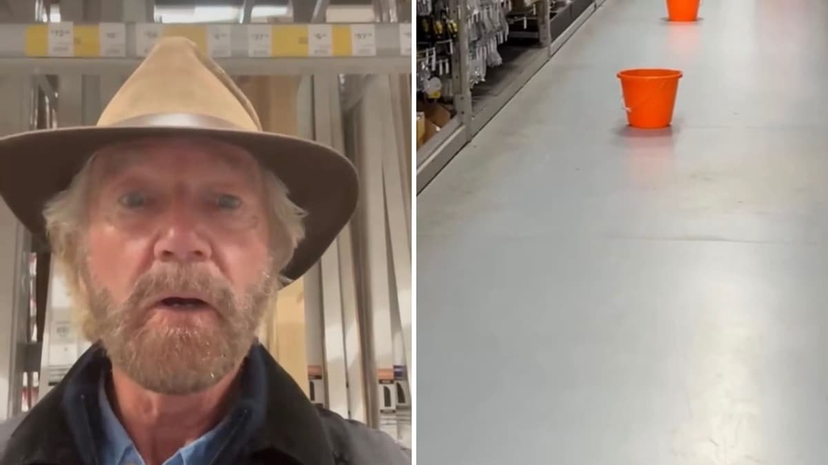 ‘Breaking news!’ Noel Edmonds spots leaky roof during B&Q shopping trip
