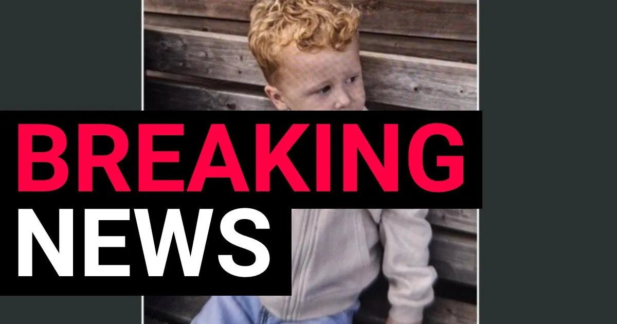 Vanished in a Blink: The Desperate Race to Find Toddler Lost from Playground