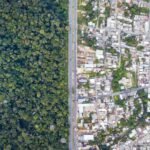 Vanishing Eden: The Silent Erasure of the Amazon’s Genetic Library