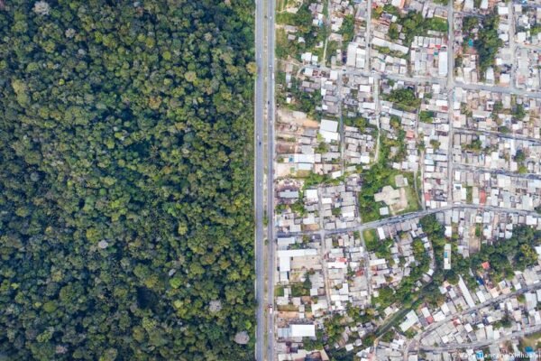 Vanishing Eden: The Silent Erasure of the Amazon’s Genetic Library