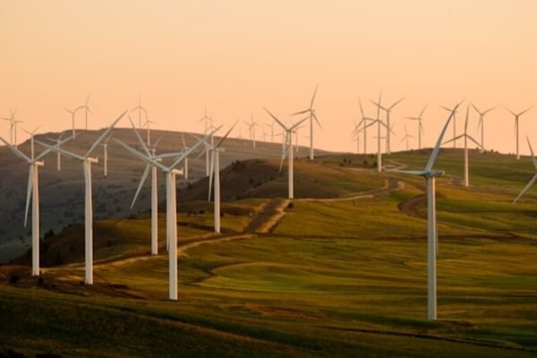 Vestas Winds of Change: Peak Surges Propel Grid Resilience