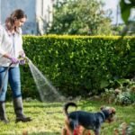 Wessex Water Ends Hosepipe Restrictions Following September Deluge