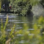 Winchester Bets on Biodiversity: Council Elevates Nature to Critical Infrastructure