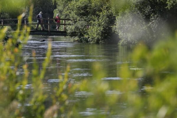 Winchester Bets on Biodiversity: Council Elevates Nature to Critical Infrastructure