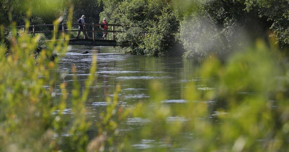 Winchester Bets on Biodiversity: Council Elevates Nature to Critical Infrastructure