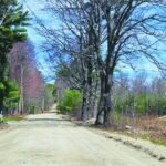 Wolfeboro Wins Legal Battle Over Road Paving