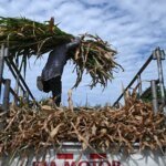 El Nino: A phenomenon supercharged by climate change | Environment News
