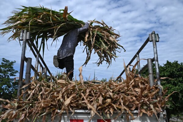El Nino: A phenomenon supercharged by climate change | Environment News