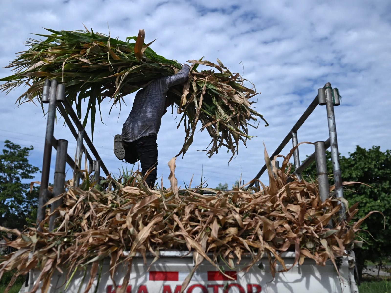 El Nino: A phenomenon supercharged by climate change | Environment News