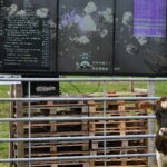 Cow Plays EVE Online And I Don’t Know If She’s Winning Or Not