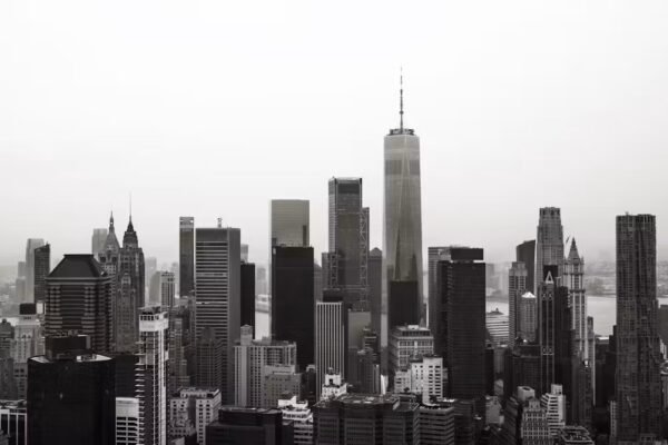 How algorithms are making our environments bland