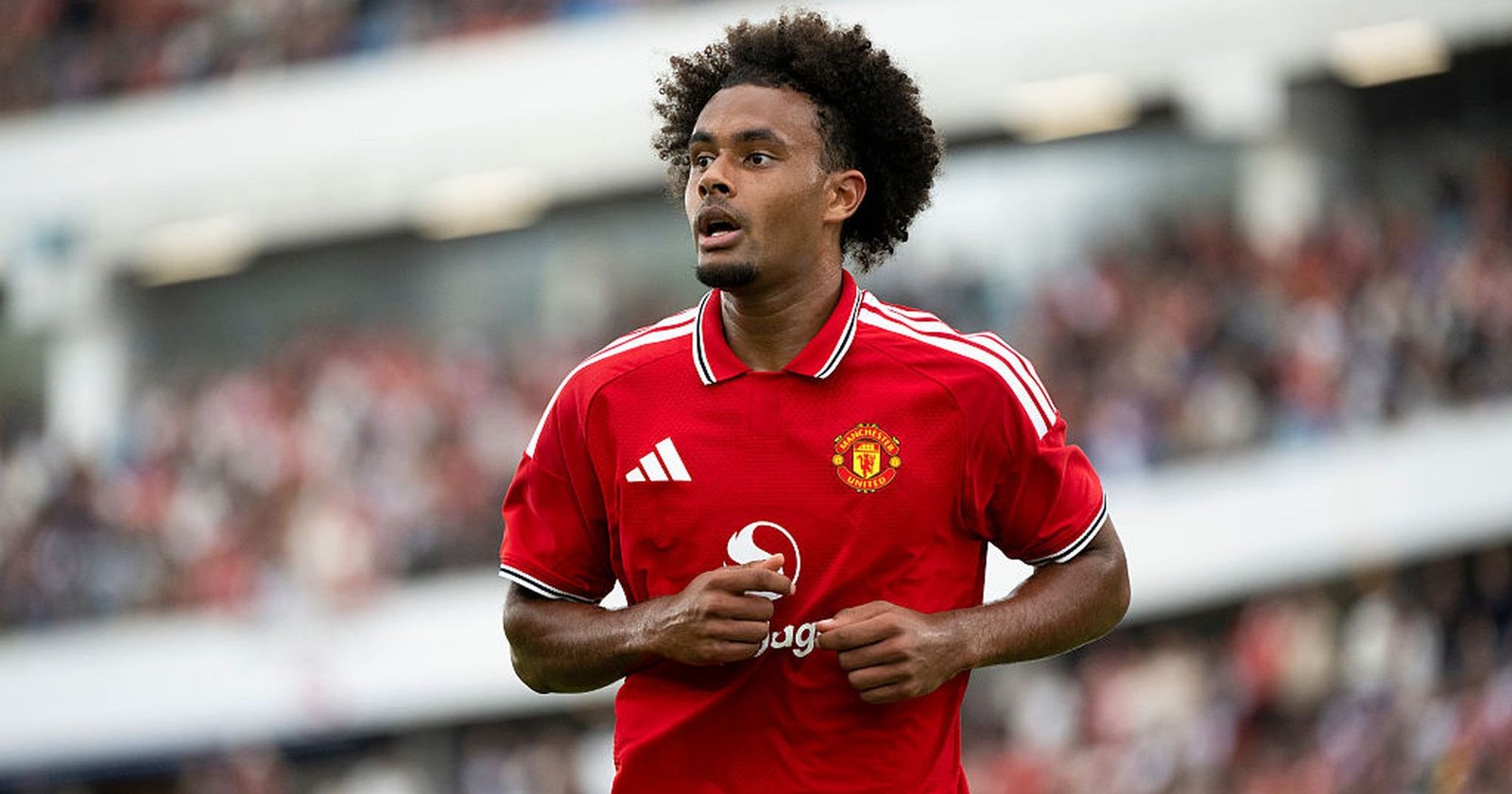 Joshua Zirkzee lined up as alternative to Folarin Balogun after USA striker has medical 'complication'