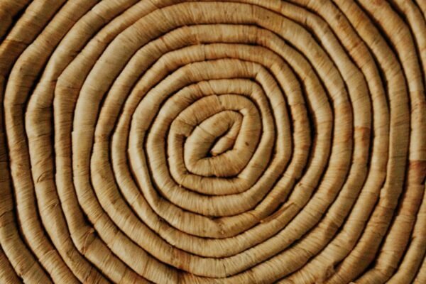 Concentric constitutionalism: environmental law in PNG