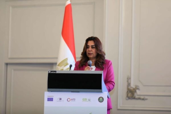 Egypt rolls out €271m-backed digital platform to streamline green investments