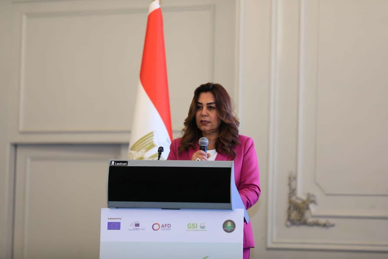 Egypt rolls out €271m-backed digital platform to streamline green investments