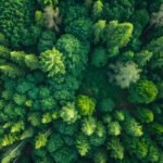 Environmental Law Update September 2026