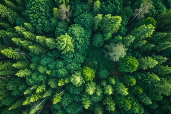 Environmental Law Update September 2026