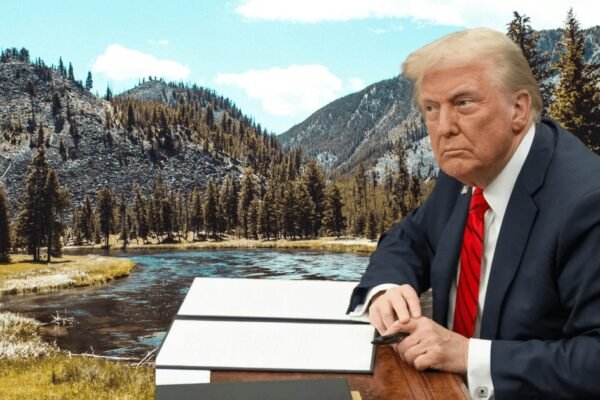 Why is Patagonia Suing President Trump Over the Environment
