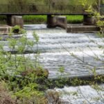 £8.3m Sewage Overhaul Set to Breathe New Life into River Skerne