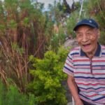 A Village Sanctuary: One Man’s Living Tribute to His Late Wife
