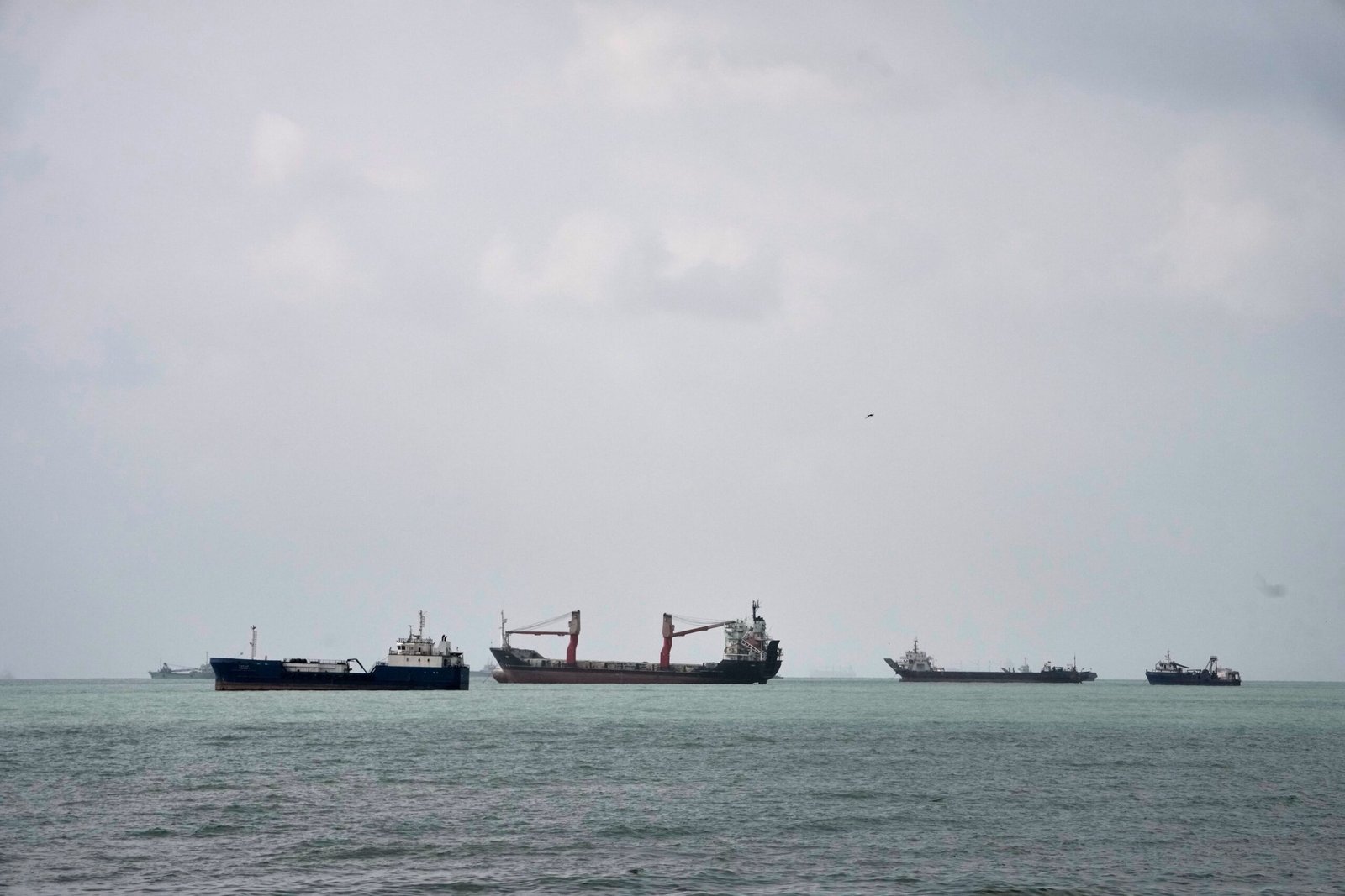 Abducted by Shadows: Search Intensifies for Indian Sailors After High-Seas Ambush off Oman