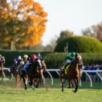 Aidan O’Brien Within Striking Distance of History After Haffner Clinches Milestone 27th Group 1