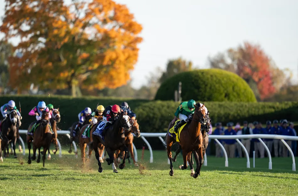 Aidan O’Brien Within Striking Distance of History After Haffner Clinches Milestone 27th Group 1