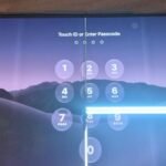 Apple Acknowledges Critical Display Flaw Plaguing Latest iPhone Duo