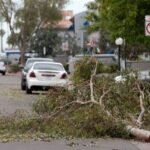 Arizona Hammered: Golf-Ball-Sized Hail Shreds Desert Landscape in Rare Tempest