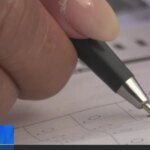 Behind the Ballot: Decoding the High-Stakes Impact of Props 40 and 42