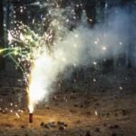 Bengal Sets Festive Curfew: Green Norms to Muzzle Midnight Firecrackers This Diwali