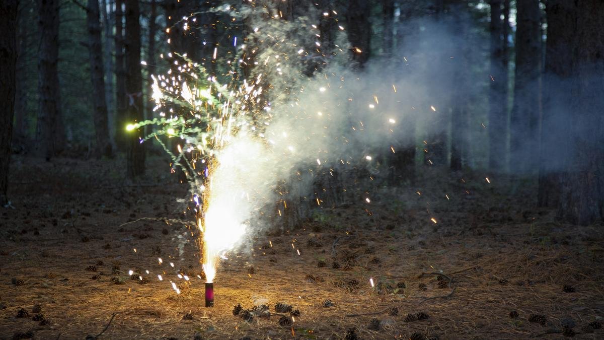 Bengal Sets Festive Curfew: Green Norms to Muzzle Midnight Firecrackers This Diwali