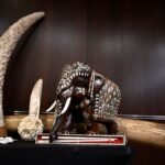 Beyond Borders: Why Canada’s Fight Against Environmental Crime Needs a Unified Front