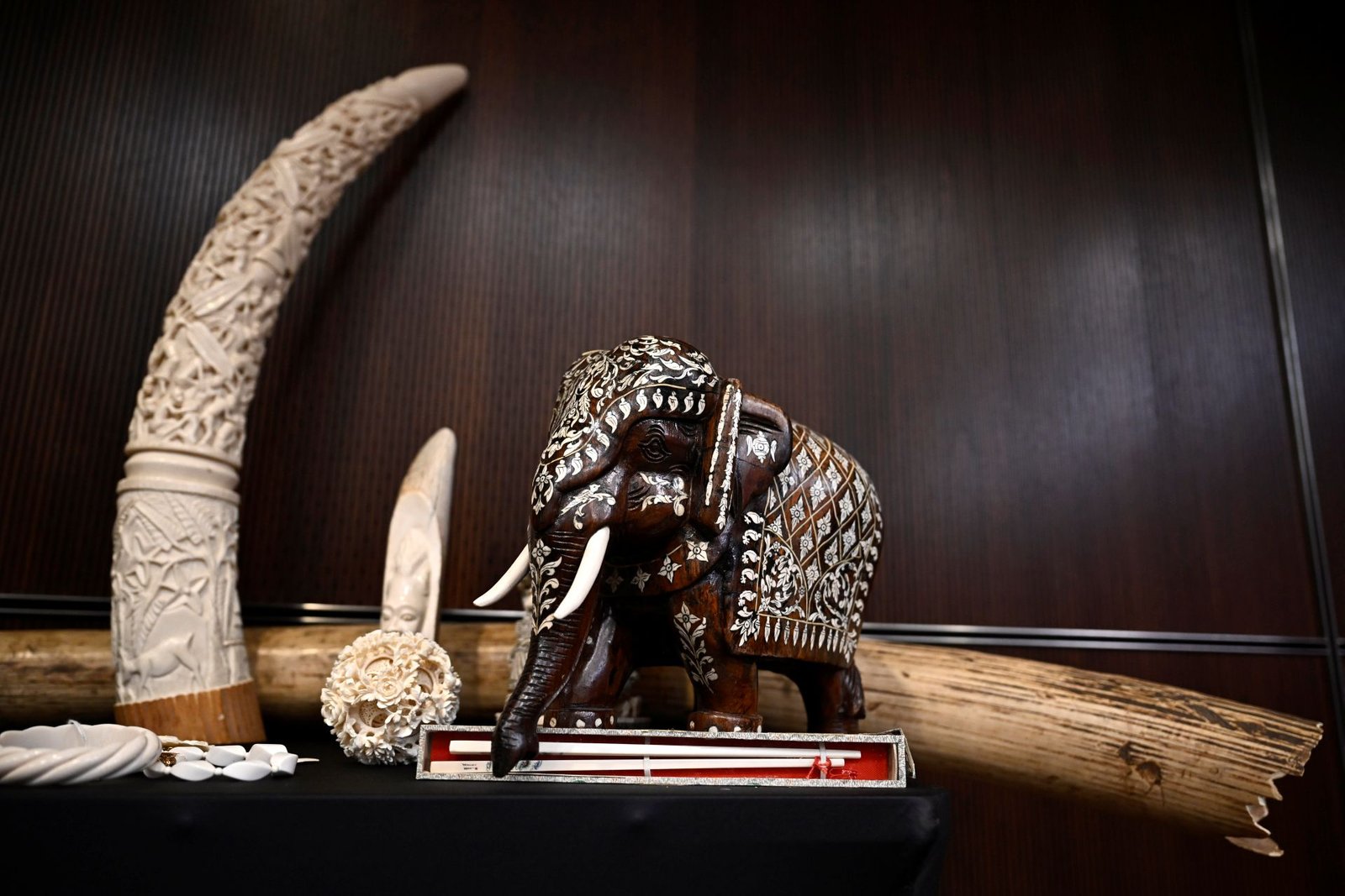 Beyond Borders: Why Canada’s Fight Against Environmental Crime Needs a Unified Front