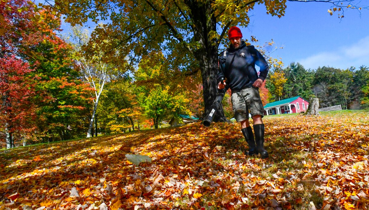 Beyond the Blade: How Deez Greens is Mowing Down the Competition and Cultivating Community