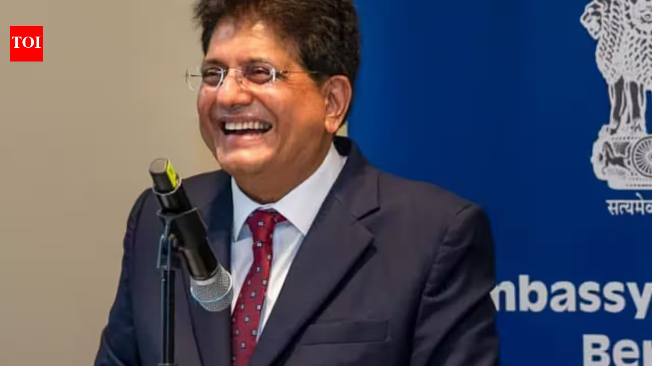 Beyond the Market: Germany and India Forge a New Industrial Alliance