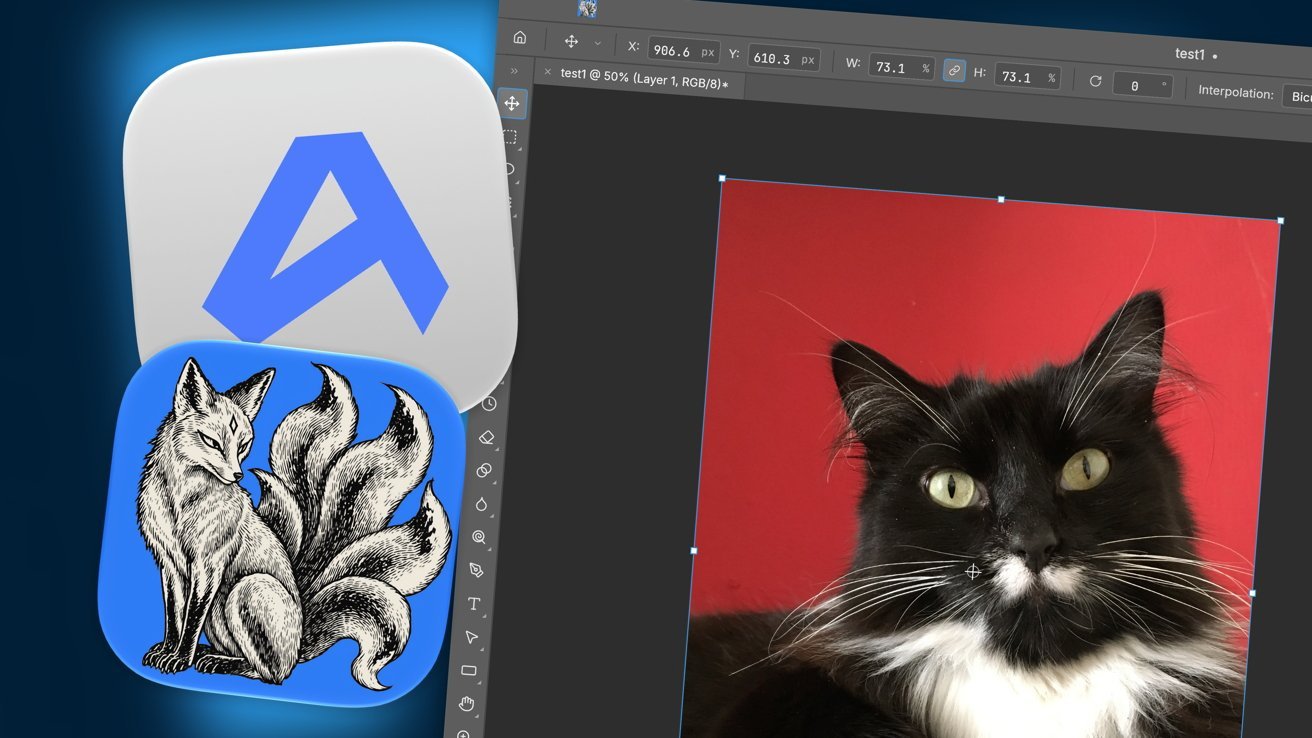 Beyond the Paywall: The Rise of Professional-Grade Adobe Alternatives