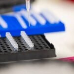 Biotech Blacklist: U.S. Cracks Down on Three Chinese Firms Over Forced Labor Allegations