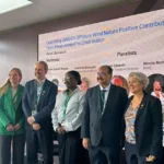 Blueprints for the Blue Economy: IUCN and GINGR Unveil Global Standard for Offshore Wind Nature-Positivity