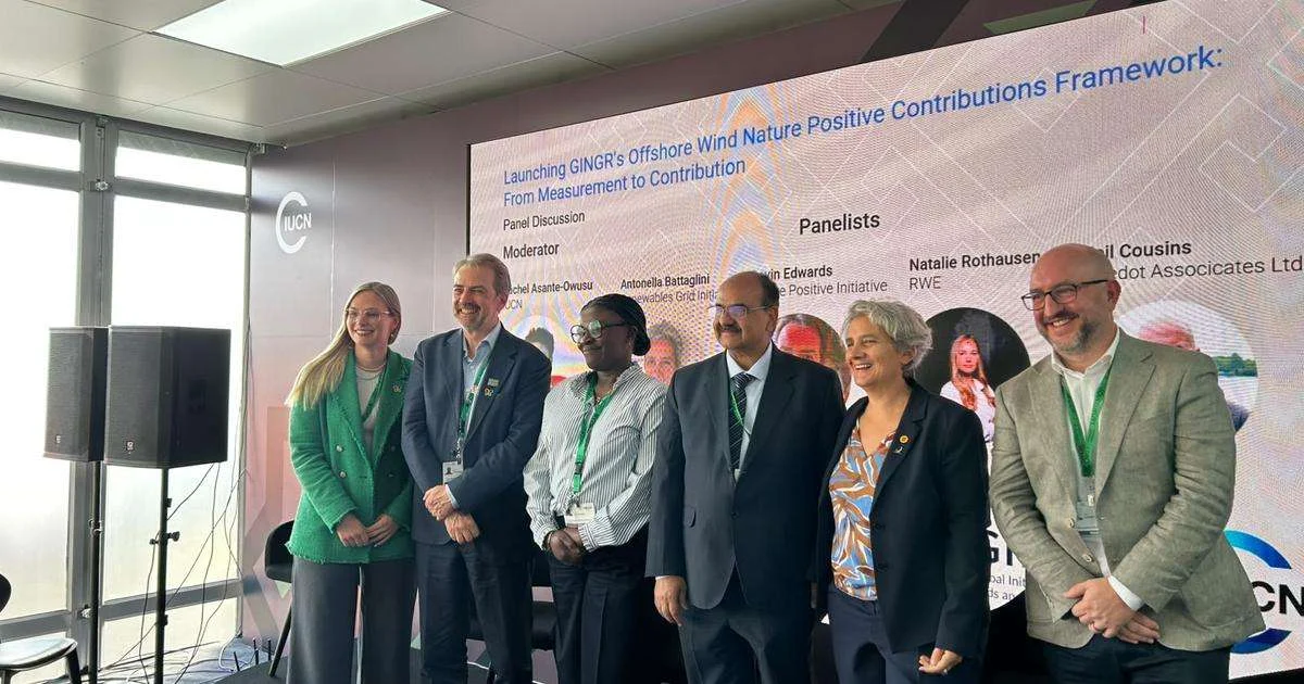 Blueprints for the Blue Economy: IUCN and GINGR Unveil Global Standard for Offshore Wind Nature-Positivity