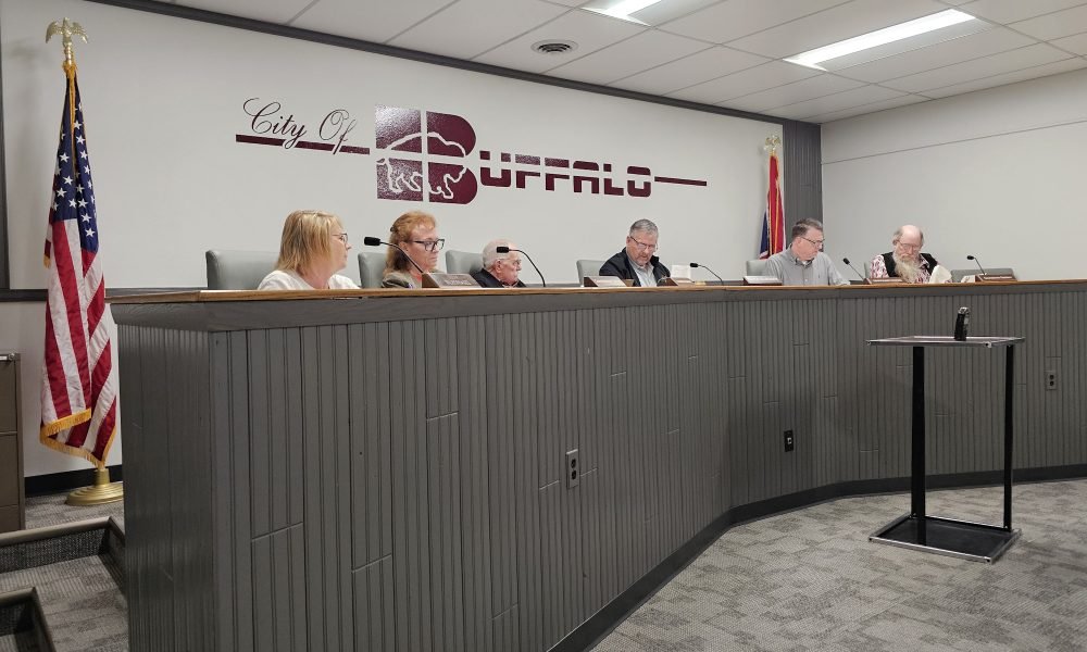 Buffalo Council Weighs High-Stakes Bids for Business Park Expansion