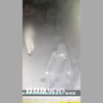 CCTV Captures Bizarre Midnight Break-In by Man and Toddler