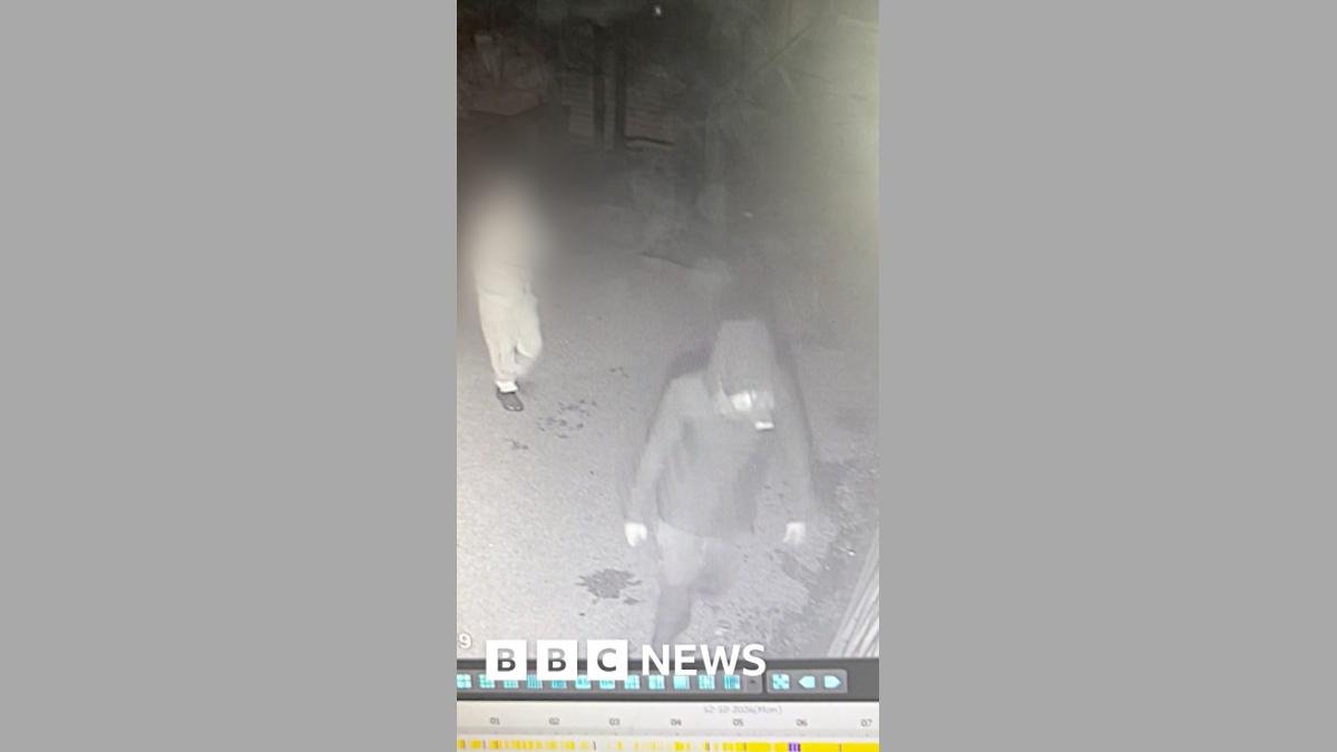 CCTV Captures Bizarre Midnight Break-In by Man and Toddler