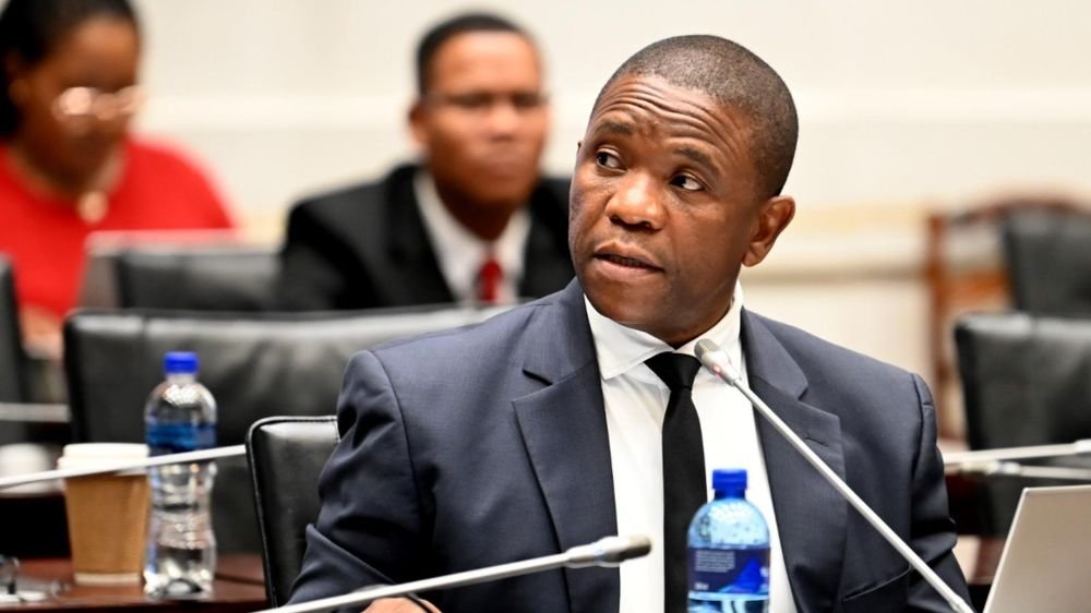 Cachalia Bids to Install Mkhwanazi as Hawks Chief in Major Shake-up